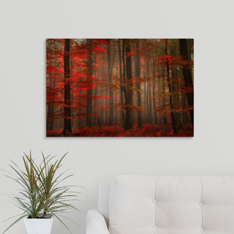 « magnifique red », reproduction de photo sur toile, H 20 po x l 30 po x P 1,5 po