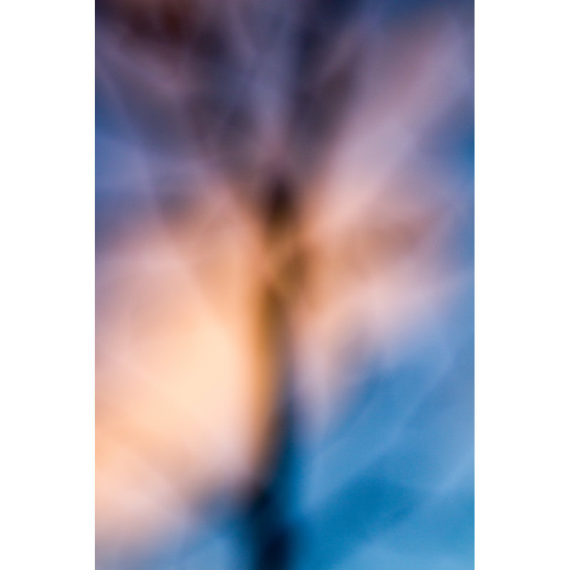 The Blurred Tree Branch by Vadven - Wrapped Canvas Print, 76cm H x 51cm W
