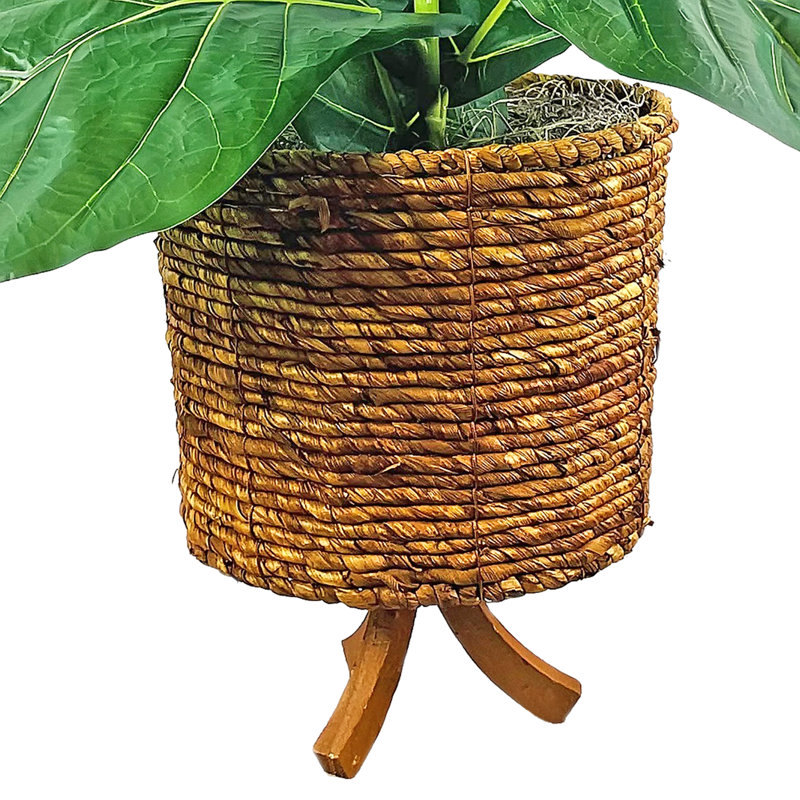 4-Foot Fig in Basket Stand