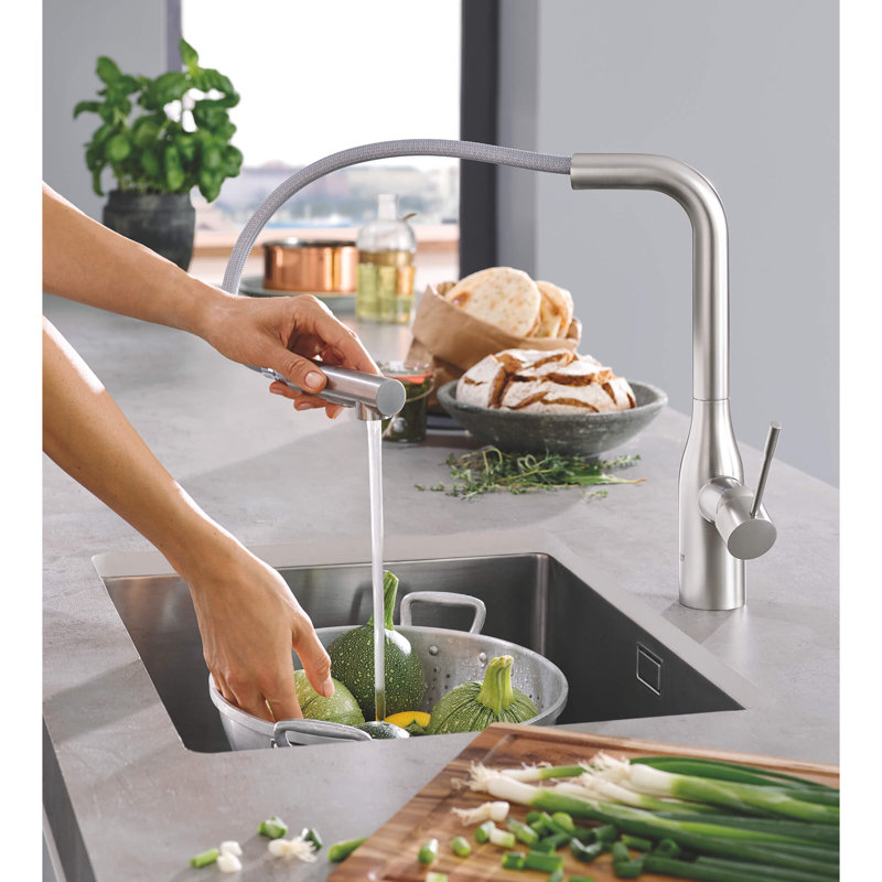 Essence Pull Out Single Handle Kitchen Faucet with Accessories, Super Steel Infinity
