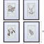 De 4 art mural nature - impression 20 po x 28 po, décorations pour la maison