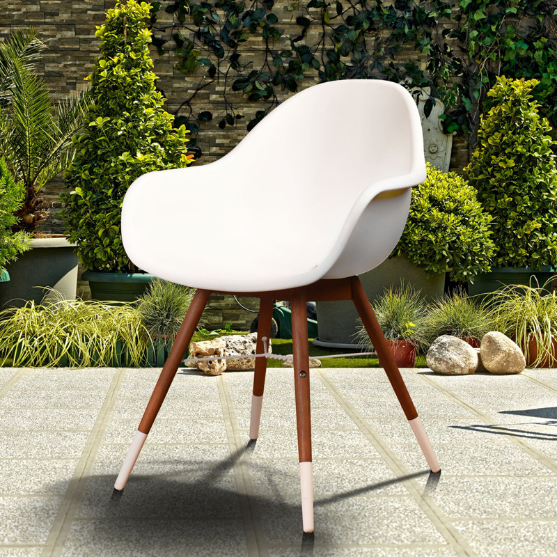 Ensemble de 2 chaises de patio Alyisa, Eucalyptus foncé