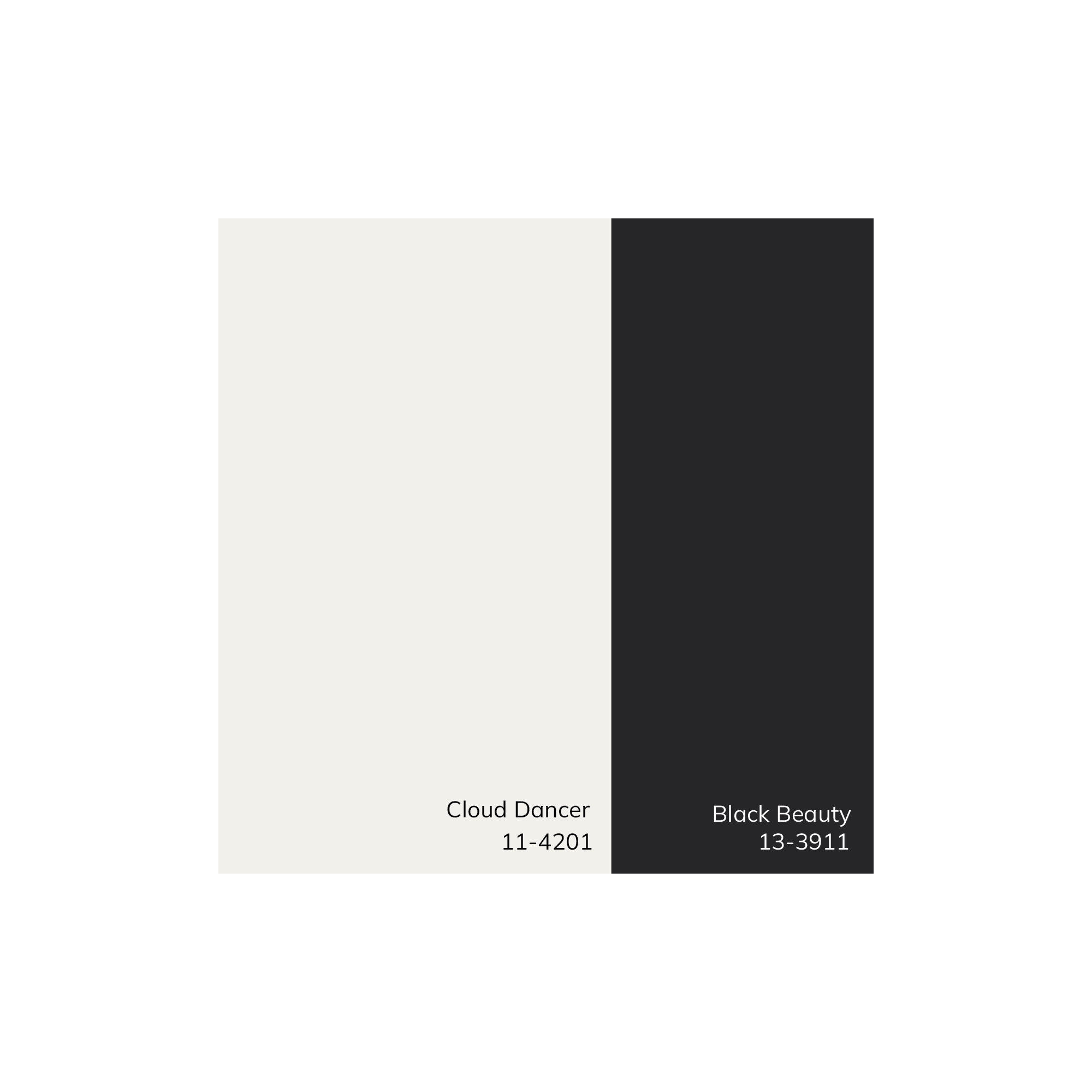 Amora Embroidered Cotton Pillow Cover, Down, White/Black, 13" x 20"