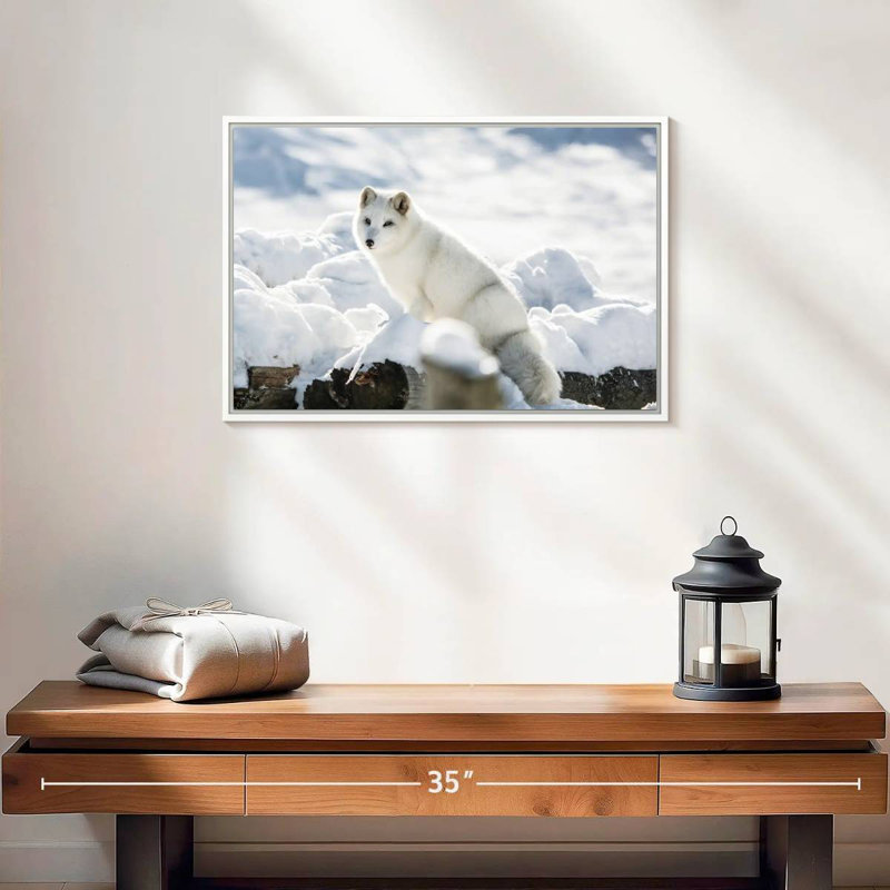Renard arctique, Cadre flottant blanc, 19 po x 13 po