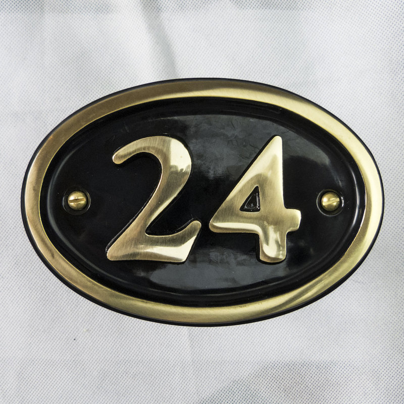 Tyrinia 10cm H Reflective Aluminum House Number, 24