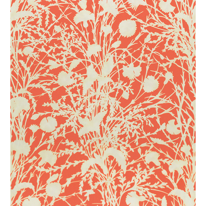 Tissu fleur sauvage Flora, Goyave