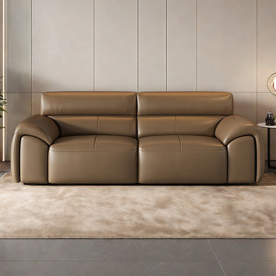 Nordic simple and light luxury sofa