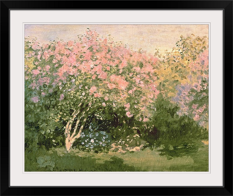 Claude " Lilac In The Sun " by Claude Monet, 27" H x 32" W x 1" D, Black Framed