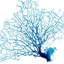 Blue Seafan Coral I Print by Sofia Fox-26931134-26931130