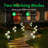 Green Low Voltage Solar Powered Integrated LED Pathway Light Pack