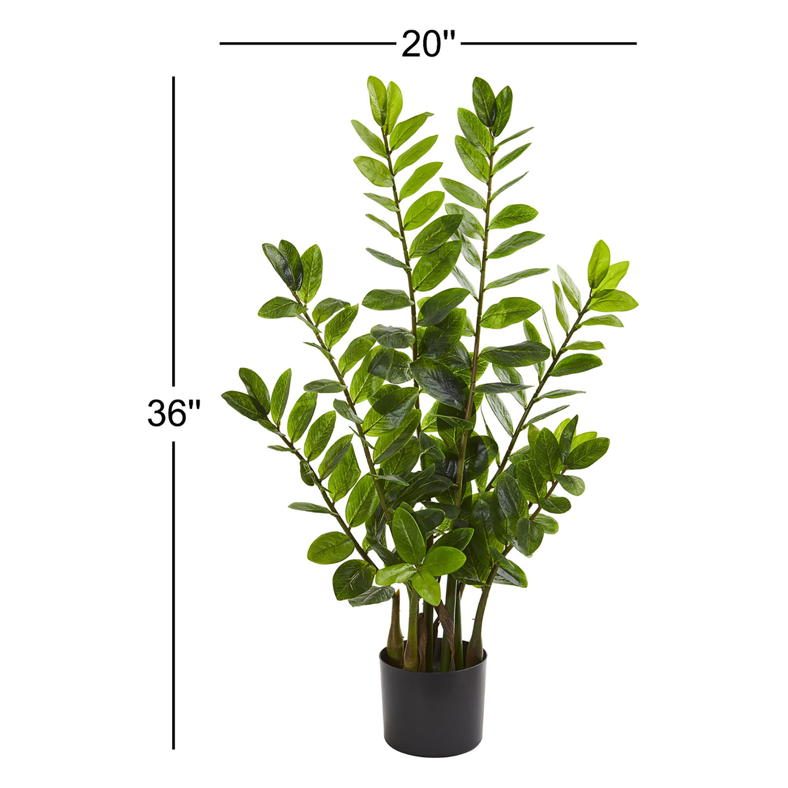 Faux ZZ Plant in Pot, 36" H x 20" W x 12" D