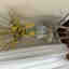 Photos des clients 1 de 1
