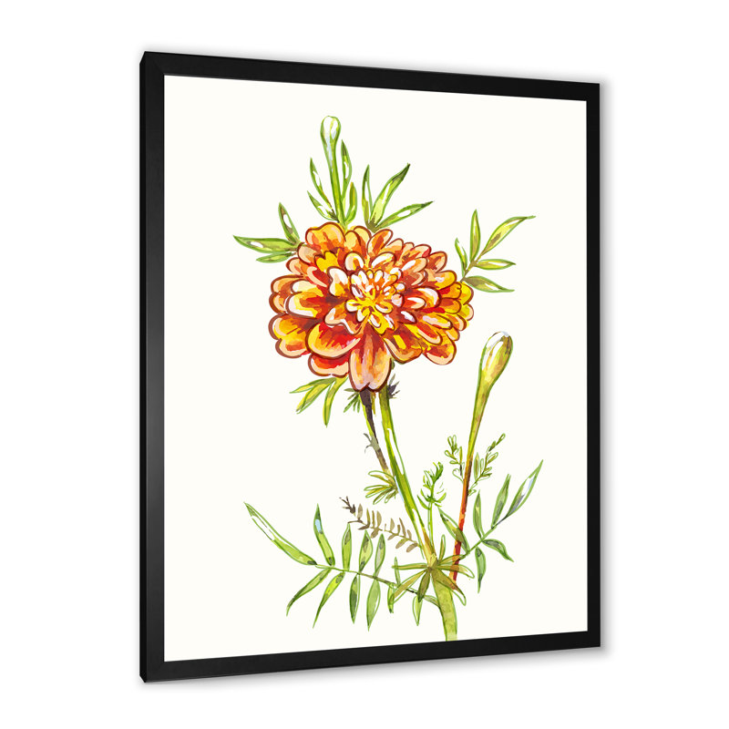 Fleur de souci orange en fleur - œuvre d'art traditionnelle sur toile, H 20 po x l 12 po x P 1 po, Cadre photo noir