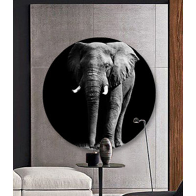 Éléphant frontal - photographie sur acrylique