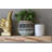 Ginny 2 Piece Maple Solid Wood Floating Shelf-2035903101