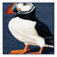  Tapis lavable Puffin Atlantic-634378035