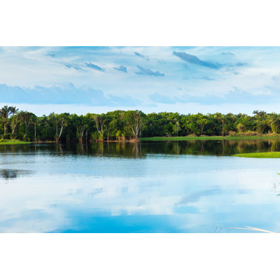 Amazon Wetland in Brazil by Filipefrazao
