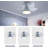 Moa 23'' Ceiling Fan with LED Lights