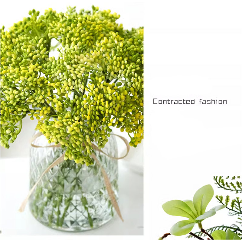 9,84 plante