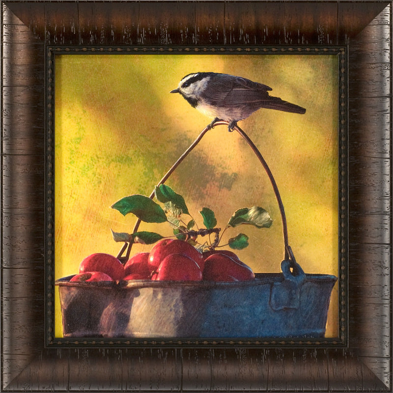 Pommes et chickadees, reproduction de photo encadrée