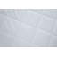 Tauber Fitted Mattress Protector Case Pack-1604951431