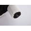Chaise d'appoint Teddy-366060824