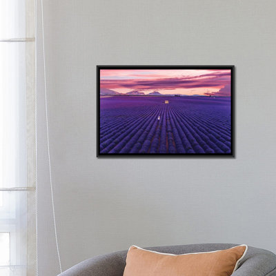Lavande Sunset par Hobopeeba - reproduction de photo