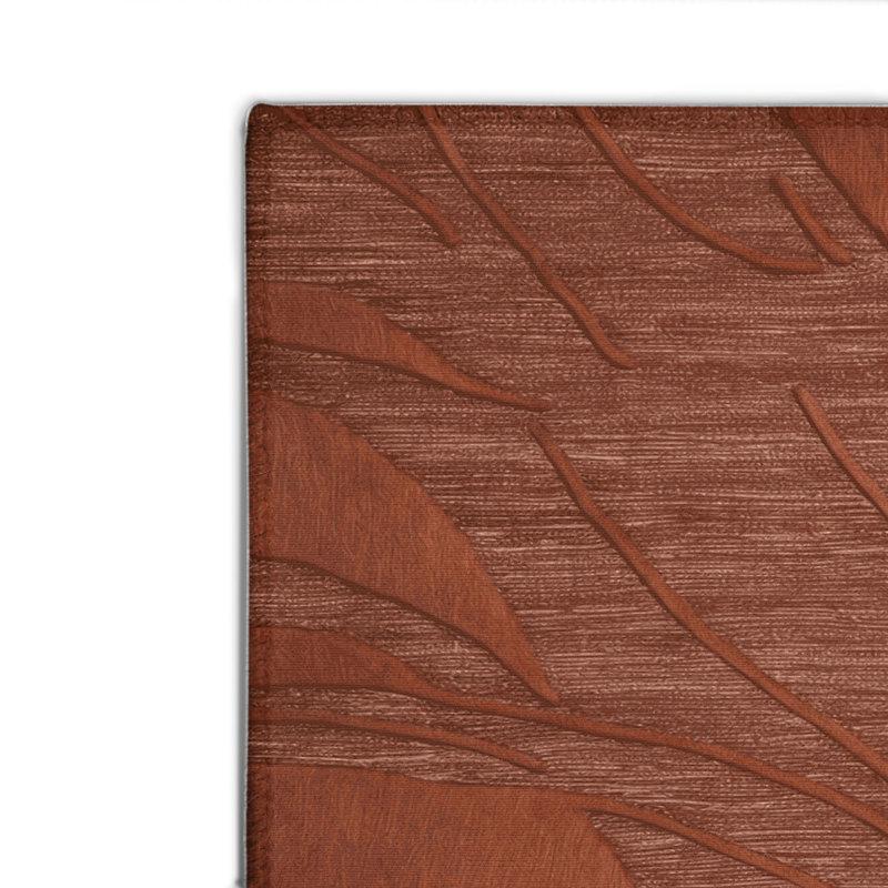 Tapis brun abstrait intérieur et extérieur, Rectangle 4pi x 6 pi