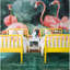 Dolbeare Smooth Matte Mural-1913733956
