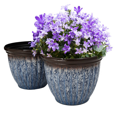 nursery indoor plants ZZ Plant