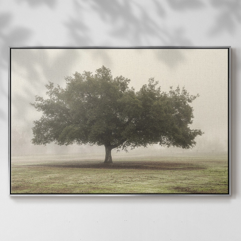 Arbres dans le brouillard II, Toile avec cadre argenté, H 27 po x l 41 po x P 2 po