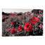 " Red Poetry " by 5by5collective-20845575-73164248-73164249