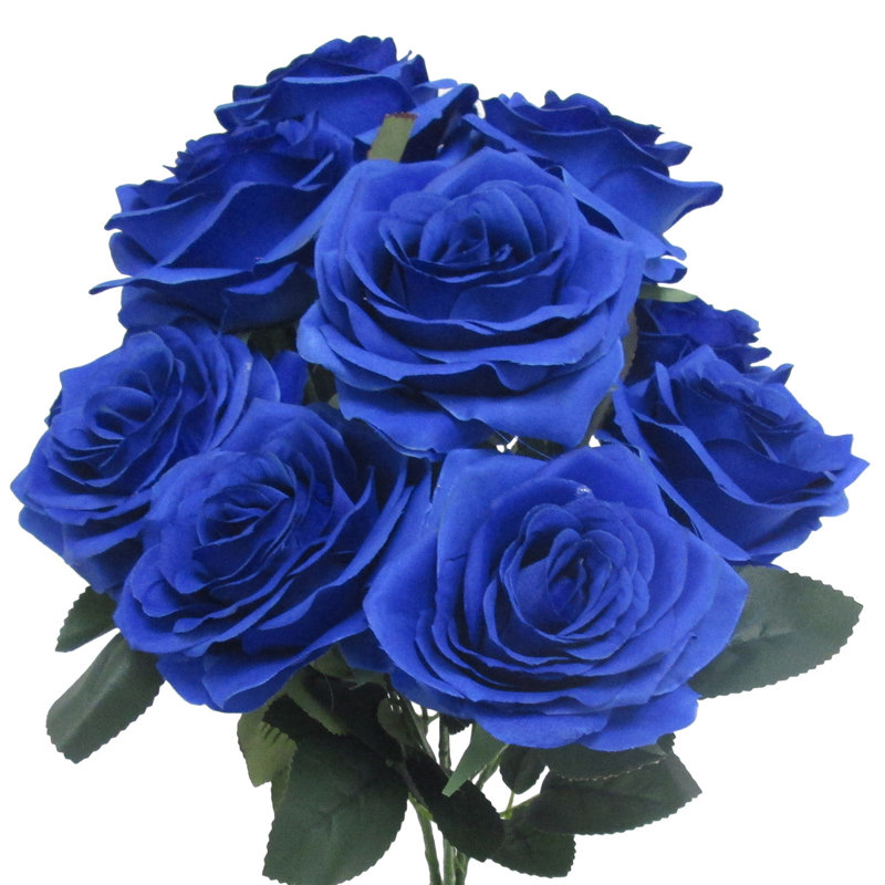 Grand rosier Jaafer Deluxe, Bleu royal