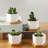 Sarah-Lou Pot Planter