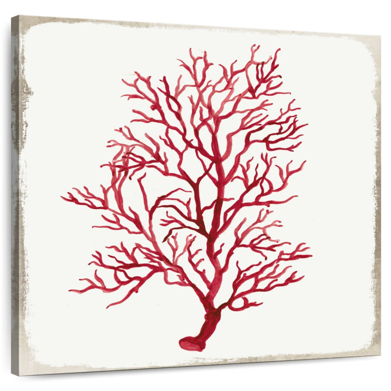 Coral II, 20" H x 20" W