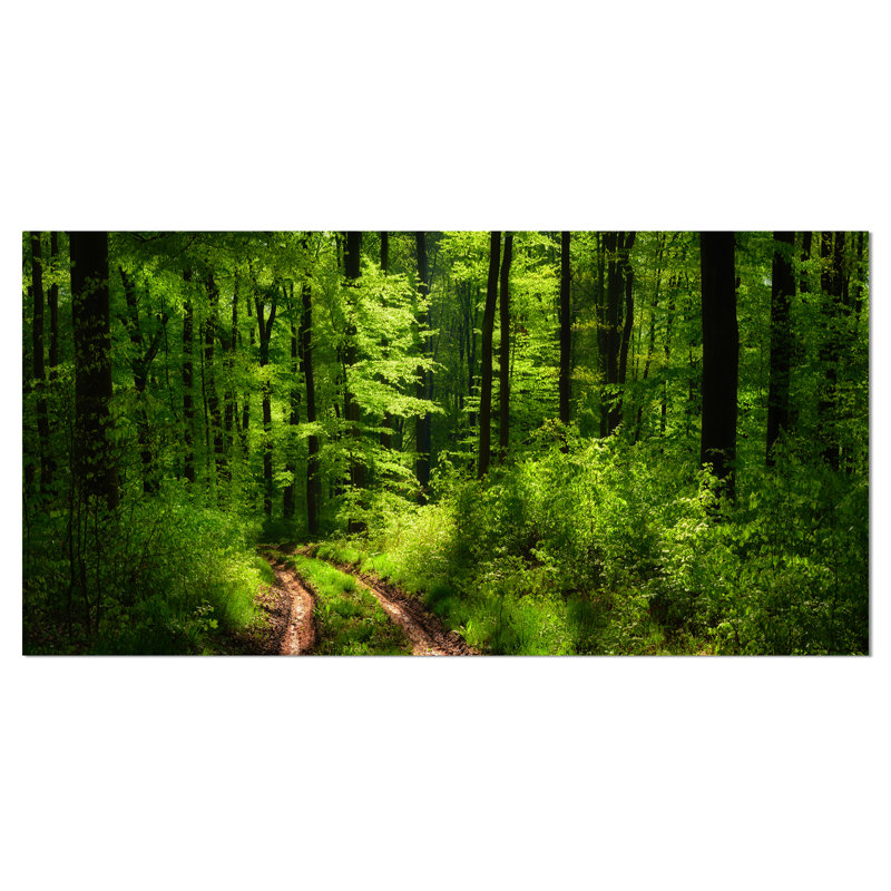 Large Green Forest Landscape Photographic Print on Canvas