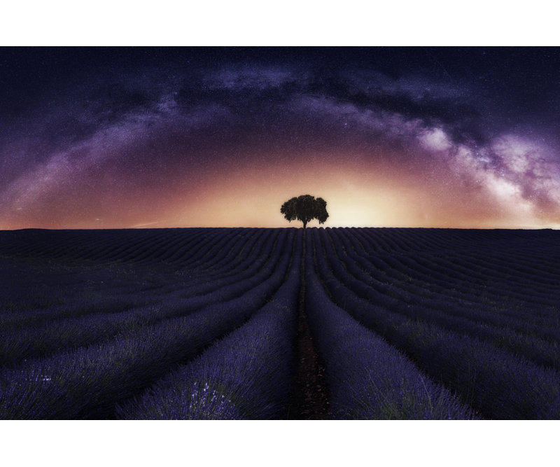 Wrapped Canvas Print, 81.28 cm H x 121.92 cm W