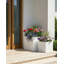 Planter-89003950