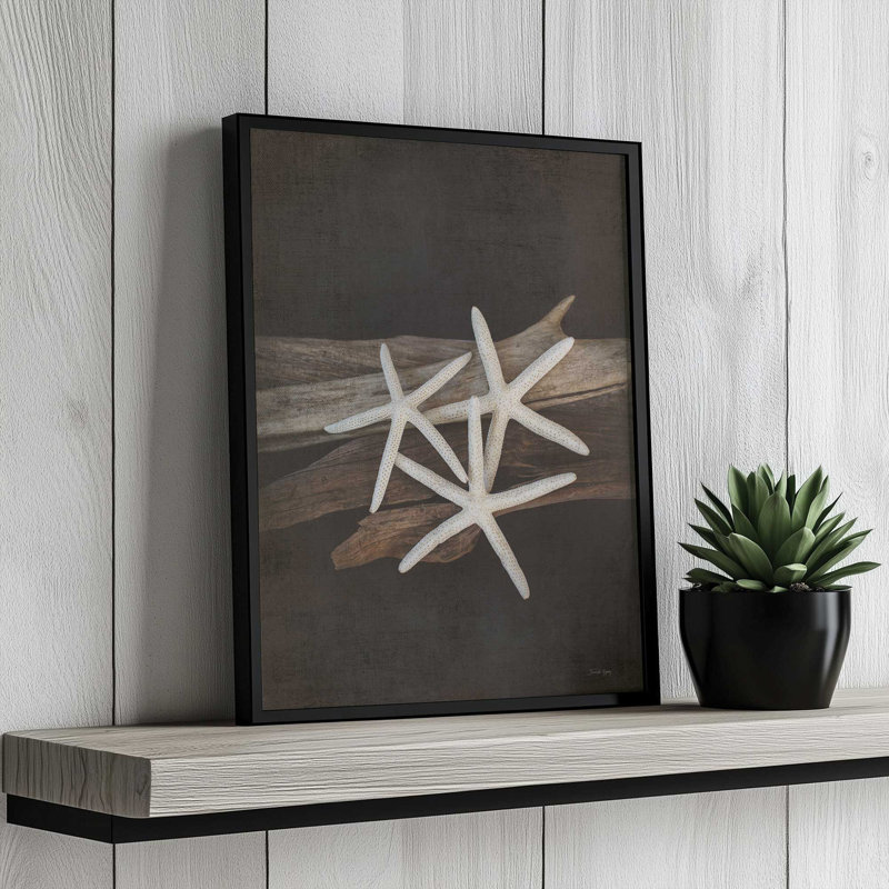 «Vintage Sea I» par Jennifer Rigsby, reproduction d'art, Noir, L 36 x H 48, Impression encadrée