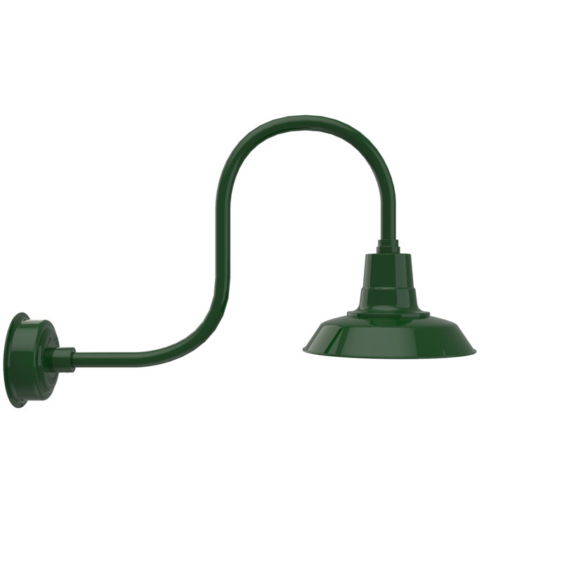 Luminaire de grange d'extérieur à DEL Haleigh, H 9 po x l 12 po x P 17 po, Vert rétro
