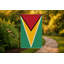 Drapeau de la Guyane - Drapeau extérieur