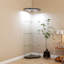 Armoire de coin lumineuse