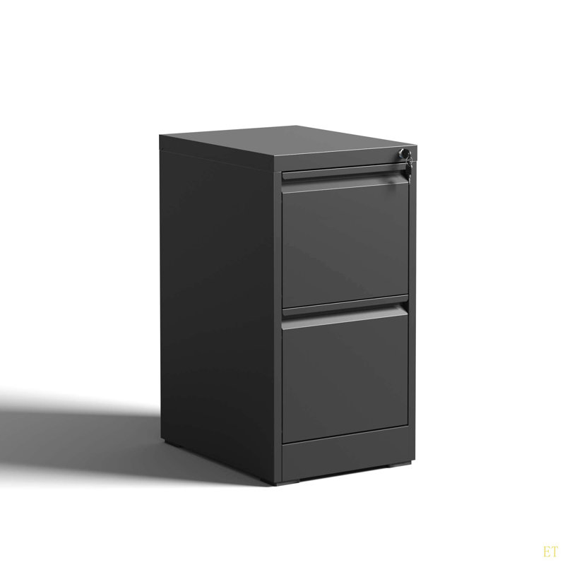 2 Drawer Metal Vertical File Cabinet With Lock Office Home Steel Vertical File Cabinet For A4 Legal/Letter Size, Black