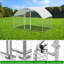 Chicken Run with Wire Mesh