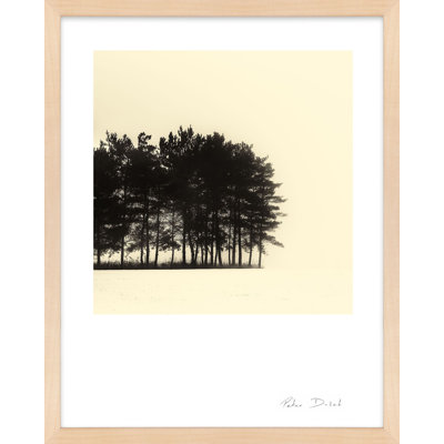 Garden Sign "Copse" Print by Peter Dušek