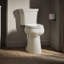 Highline Tall Elongated Tall Toilet Bowl With Exposed Trapway-271651249