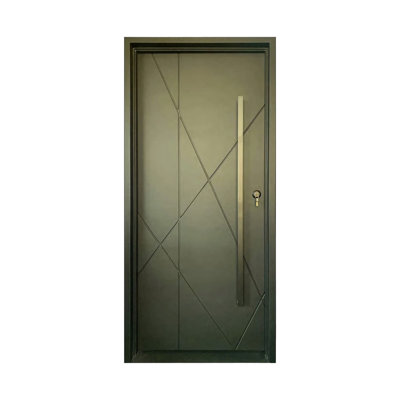 Terra Verde Modern Single Iron Door
