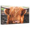 Brampt Highland Cow Fringe