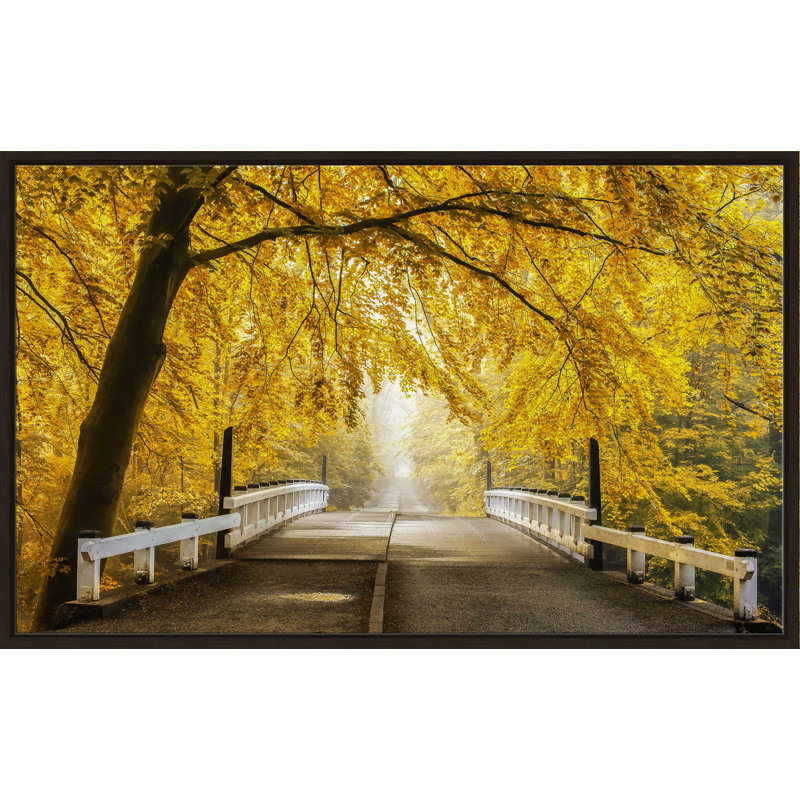 «Bridge to Fall III» par Lars Van de Goor - photographie, H 27,5 po x l 43,5 po x P 2 po, Cadre flottant espresso