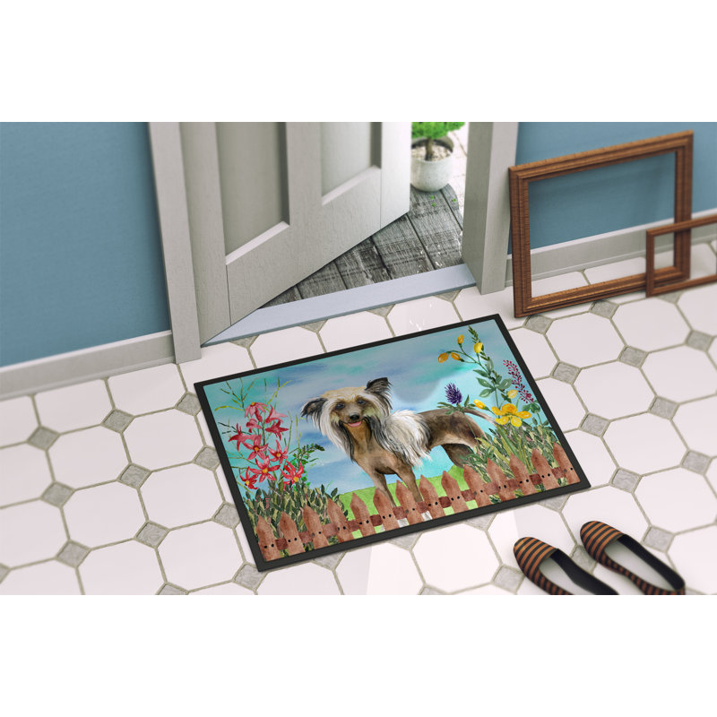 Tapis de porte pour l’extérieur antidérapant à ressorts, Rectangle 1 pi 6 po x 2 pi 3 po